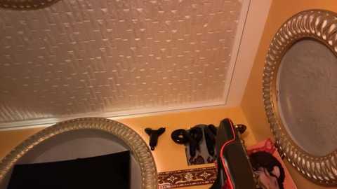 orla86 @ stripchat on 20250818
