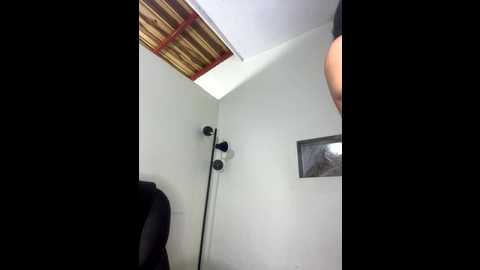 _alice_1 @ stripchat on 20250819