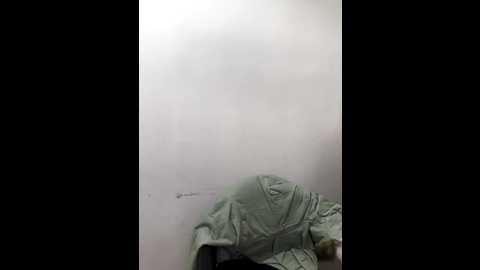 ariana_07 @ stripchat on 20250820
