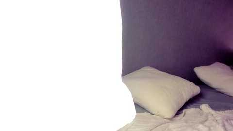 rachel_rey