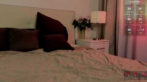 addelin_moon @ stripchat on 20250824
