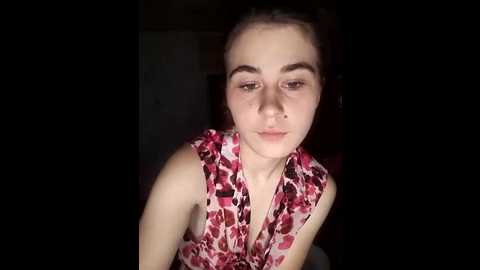 torytayler