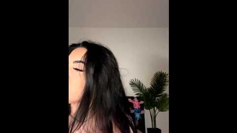 andrestarr