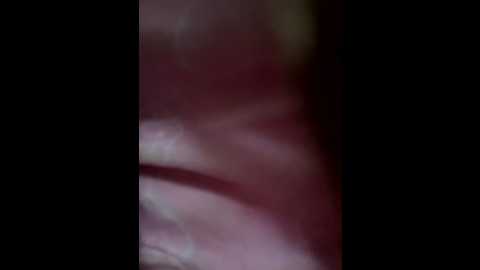 bambi_lu