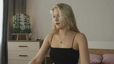 alicelebel