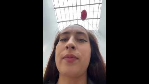 holly_play
