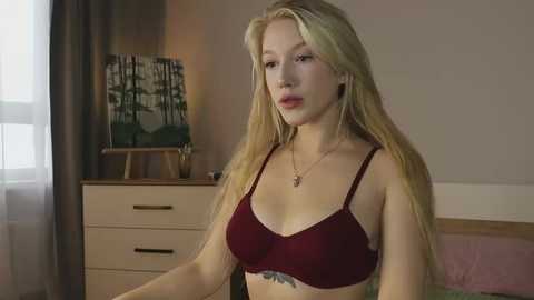 alicelebel