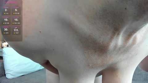 angelica_marquise @ stripchat on 20250903