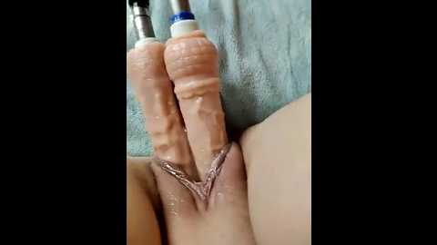 lola_hale @ stripchat on 20250905