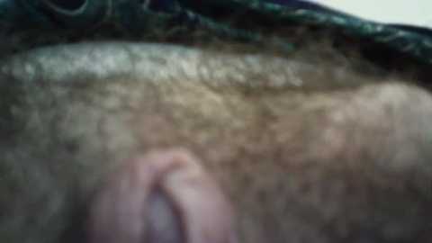 regina_5 @ stripchat on 20250905