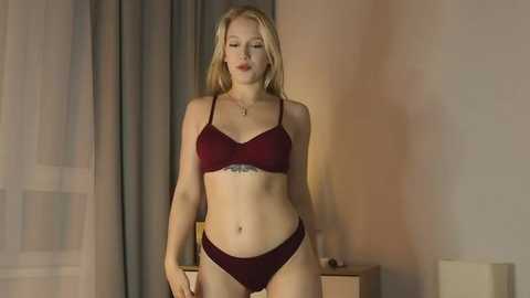alicelebel