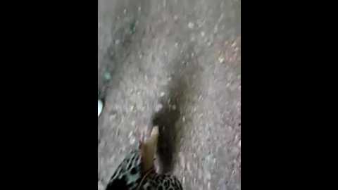 samantasex73