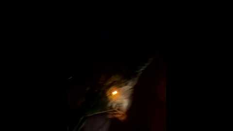 smellsex @ stripchat on 20250906