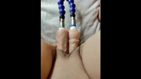 lola_hale