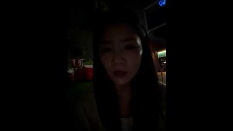 ruyi_13