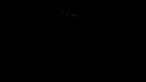 dazbaz12 @ stripchat on 20250909