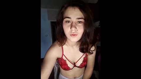 torytayler