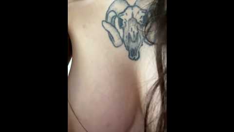 arya_black
