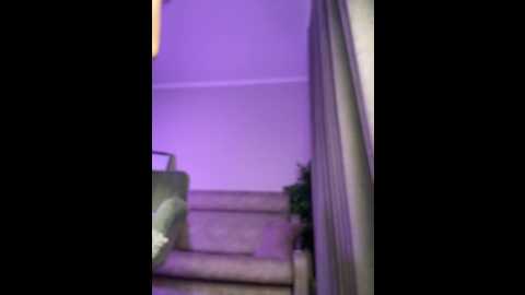 cuddlies_lili @ stripchat on 20250912