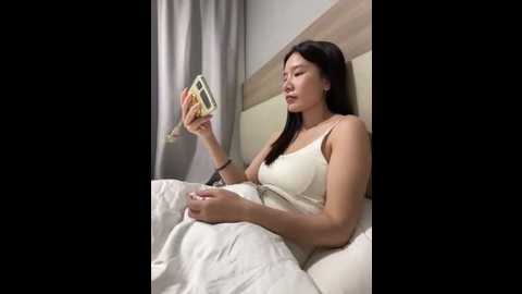 ruyi_13