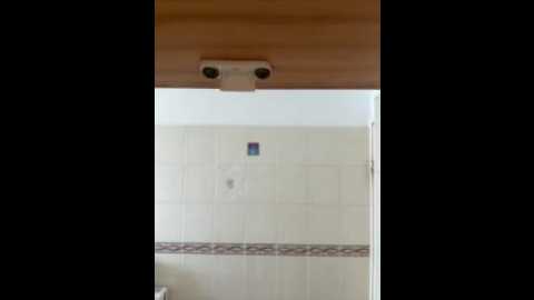 milarenee @ stripchat on 20250913