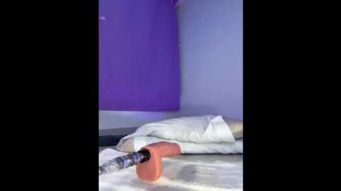 hade_rosse