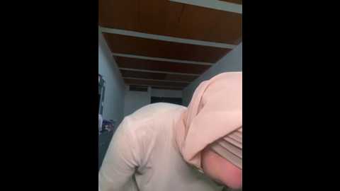 lalilamassu1
