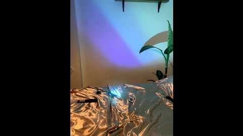 giorgialuxee @ stripchat on 20250919