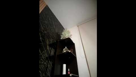 alexandra_duque @ stripchat on 20250920