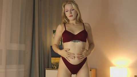 alicelebel