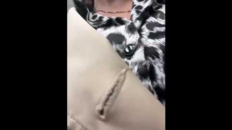 katya_katysha @ stripchat on 20250920