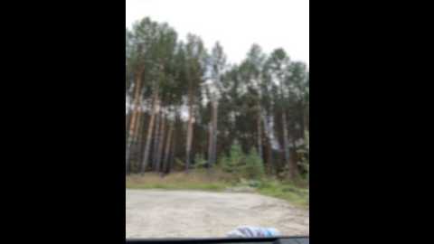 angelinateller