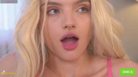 bellacle