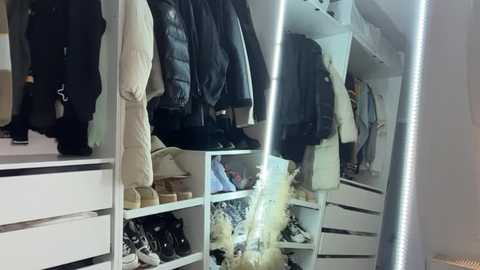 kayleebella @ stripchat on 20250921