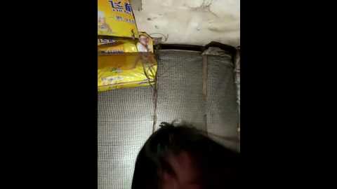 chenyu0308 @ stripchat on 20250922