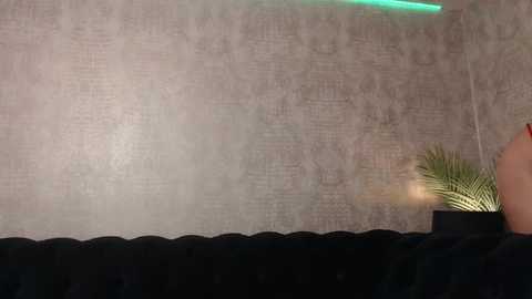 rebeccajoy @ stripchat on 20250923