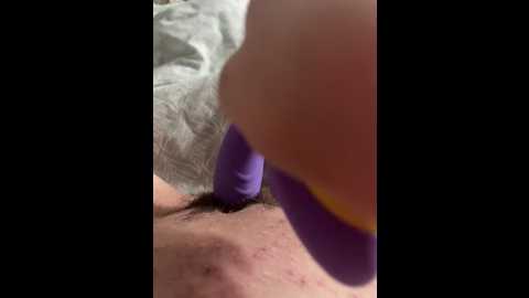 alissa_a