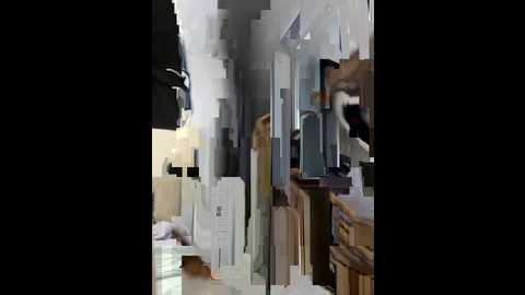 newlale @ stripchat on 20250925