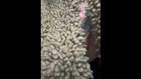 mimiumuy @ stripchat on 20250926