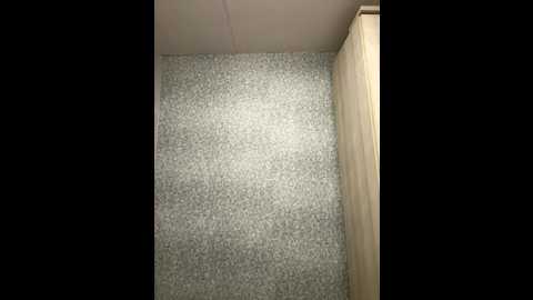 nancygancally @ stripchat on 20250926