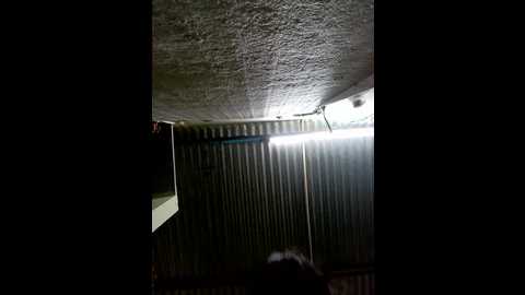 soni_megwal @ stripchat on 20250926