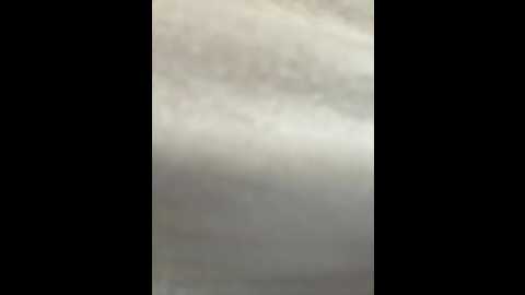 didihairypussy @ stripchat on 20250929