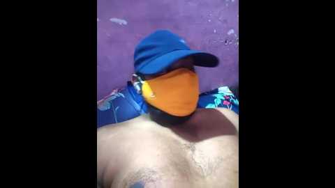 nidhi_telugu @ stripchat on 20250929