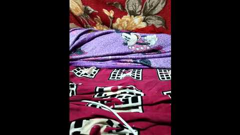 nidhi_telugu @ stripchat on 20250929