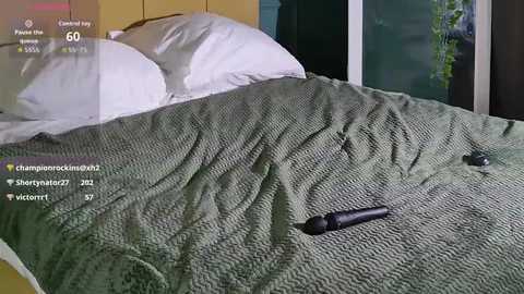 softly_bold @ stripchat on 20250929