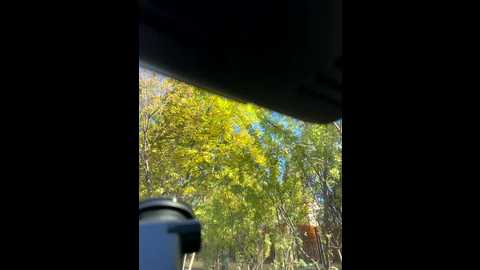 zhenjapoledance @ stripchat on 20250930