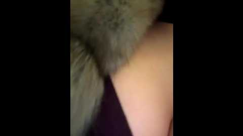syka0001