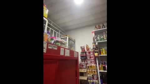 sara_fun