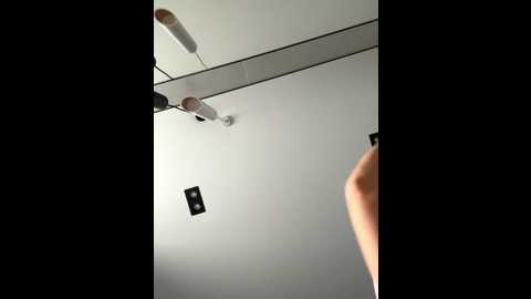 _angelari_