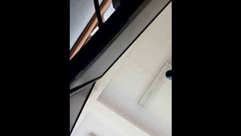 milf_love_fist99 @ stripchat on 20251003